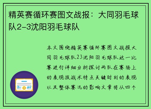 精英赛循环赛图文战报：大同羽毛球队2-3沈阳羽毛球队